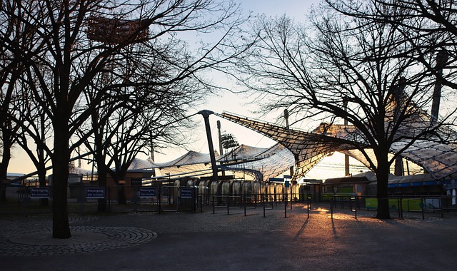 个人职业生 个人职业生