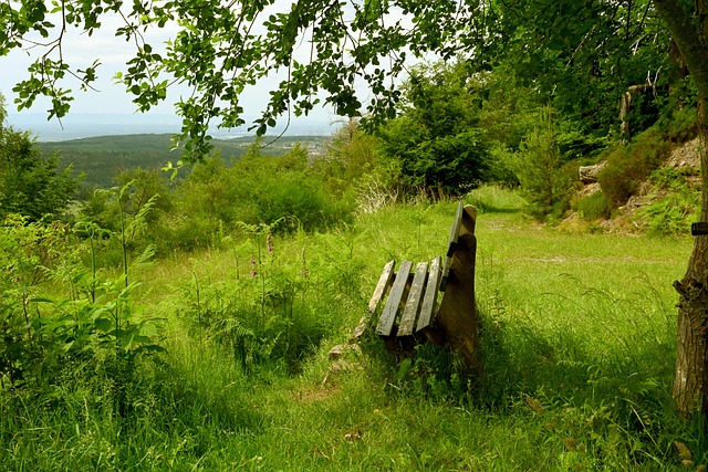 帅之间的关 帅之间的关