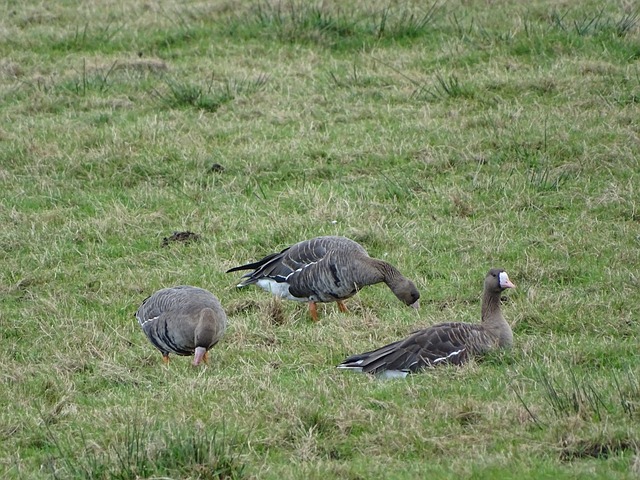 重要性不容 重要性不容